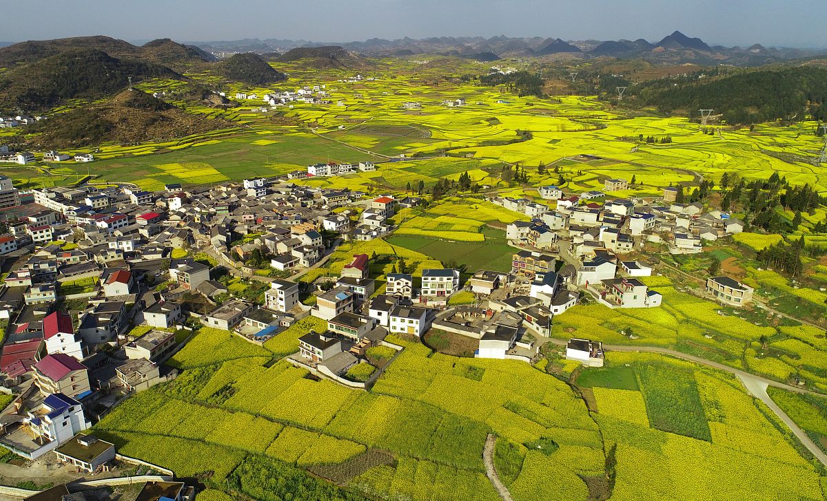 西秀区安吉职业技术学校2023年招生简章-怎么样