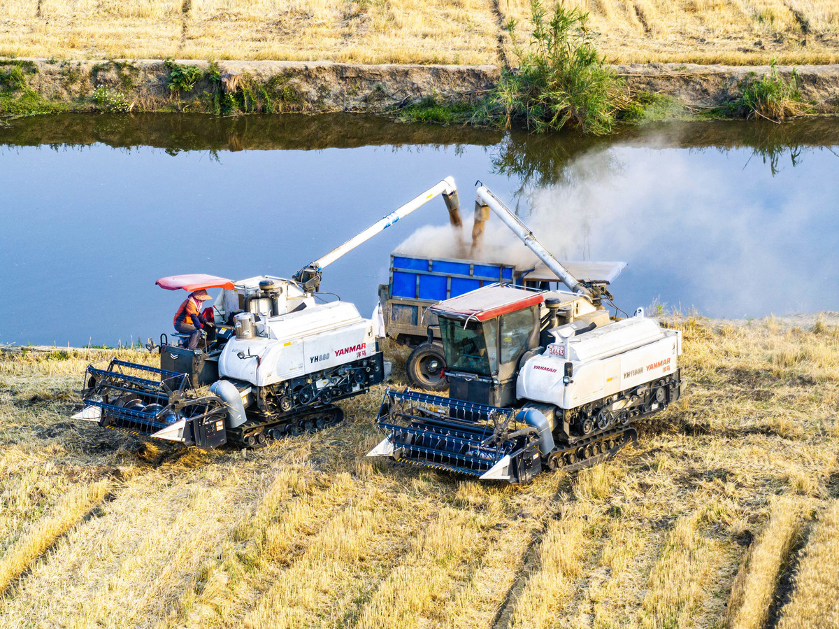水稻收割机类型