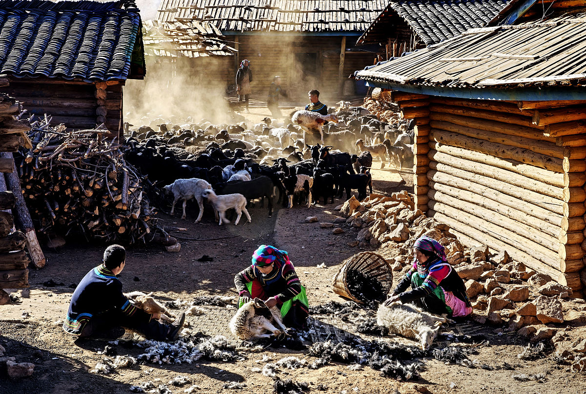 扶贫产业调研报告