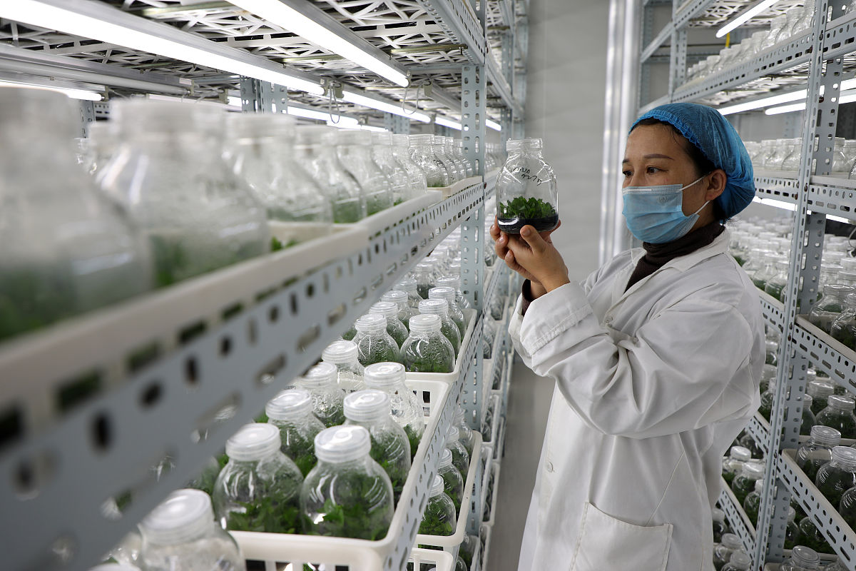 黑龙江农垦科技职业学院生物制药技术专业就业前景分析