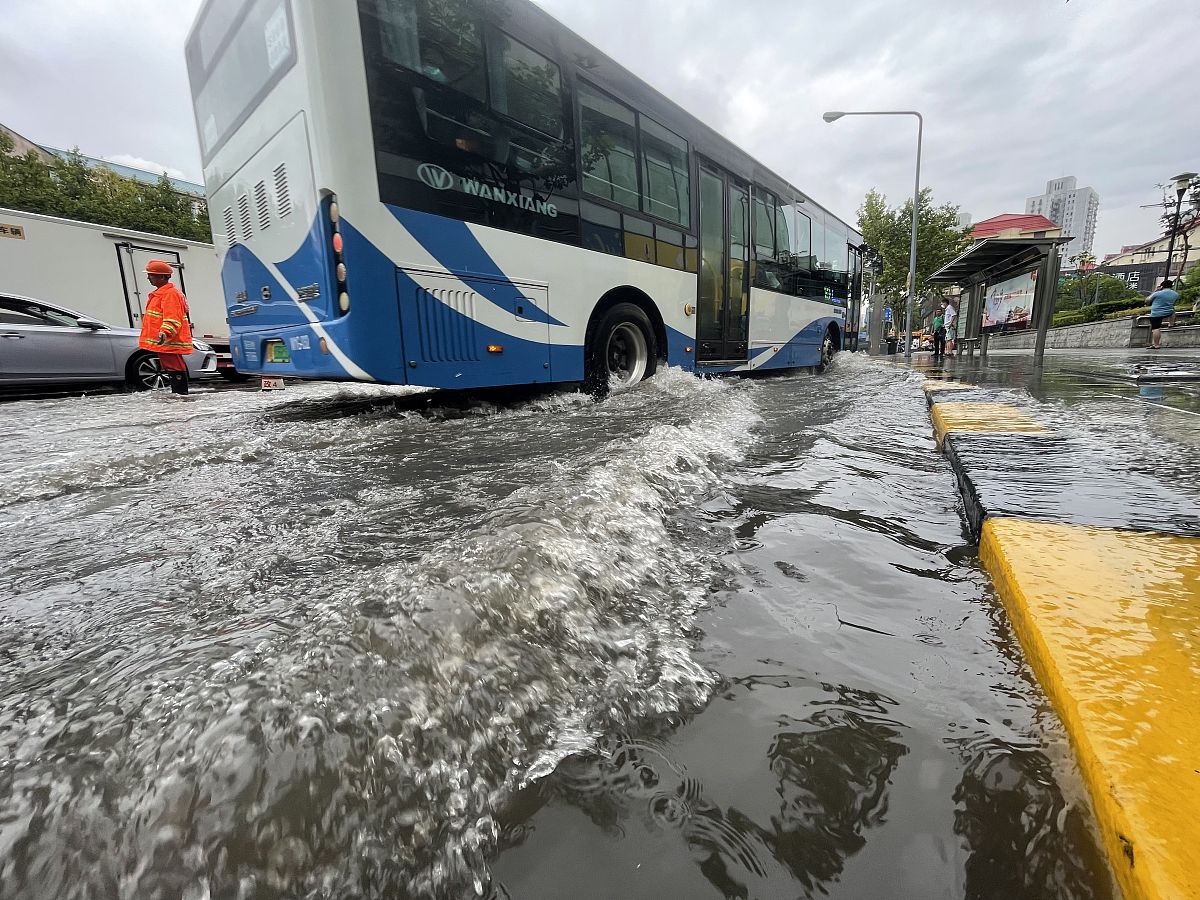 #上海冲入河中公交车司机被救出根据这个话题写一篇500字文章并且给出30个字标题