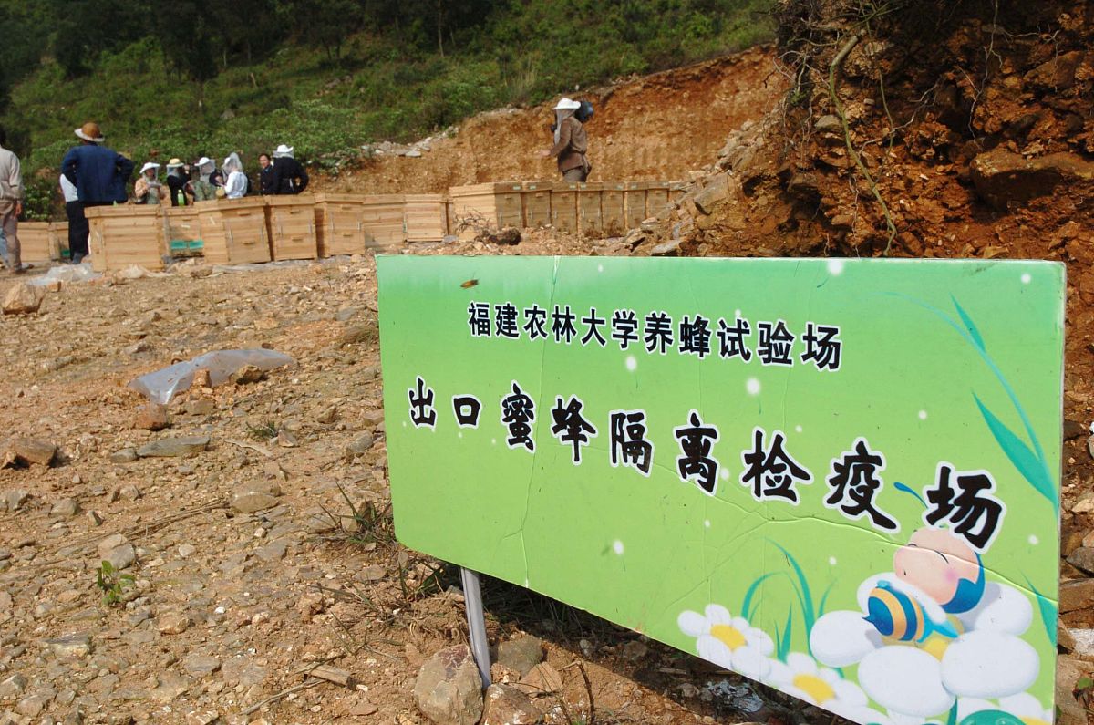 延安市宝塔区春季农田鼠害防治策略：推广'毒饵站'技术