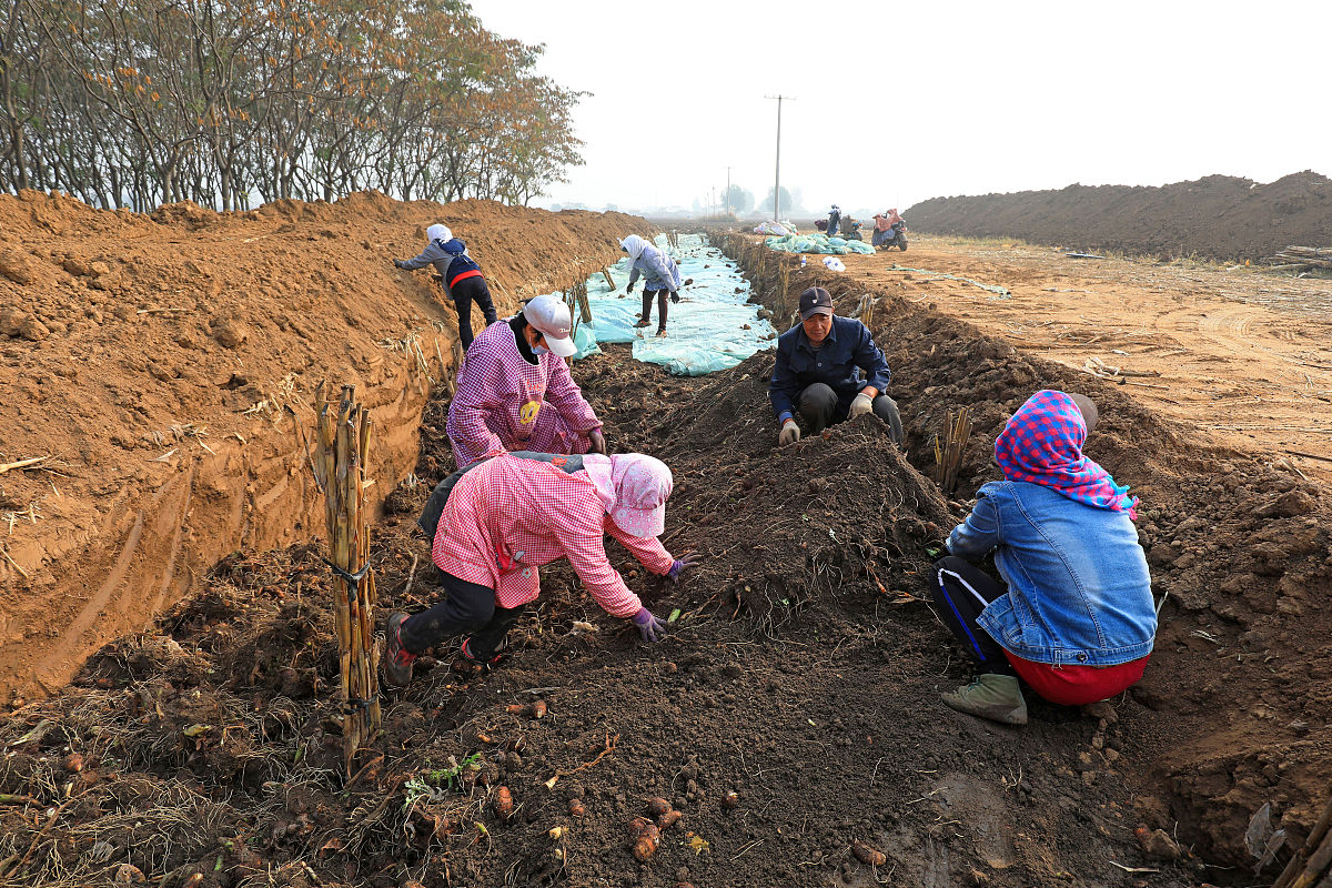 安徽阜阳农业学校2023年招生条件及专业人数-怎么样