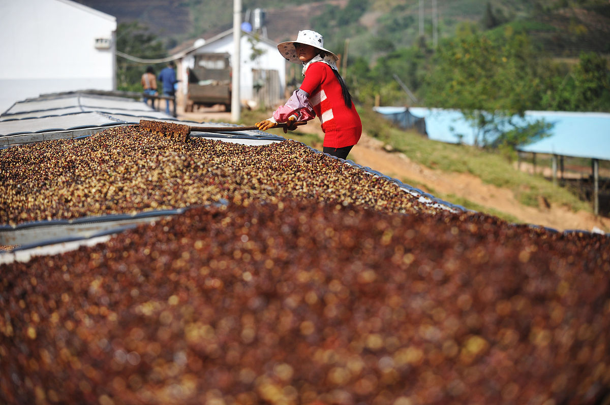 曲靖农业中等职业学校五年制热门专业 | 为农业发展注入新活力