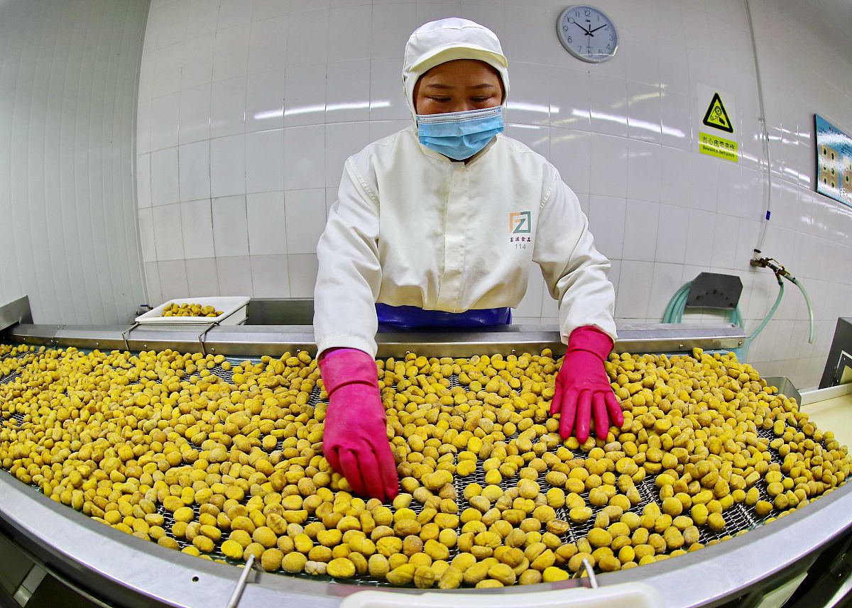 枇杷加工设备工业互联网平台：数字化转型，提升生产效率