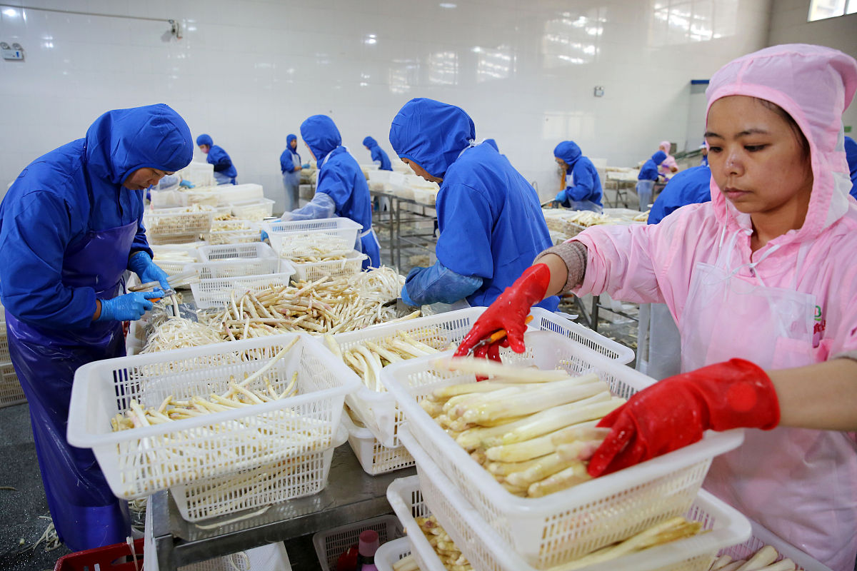 安徽工业职业技术学院市场营销专业怎么样？| 就业前景分析