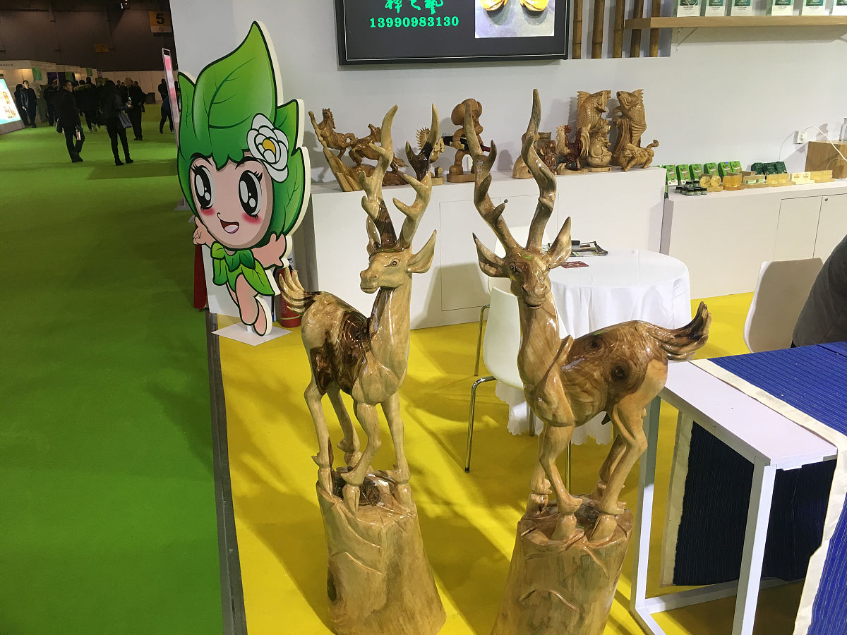 林产化工专业就业方向：未来发展趋势与职业选择