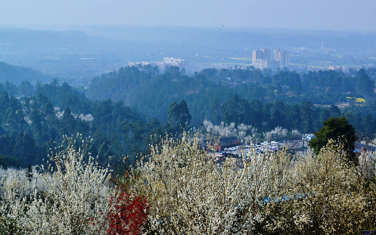成都2022年计算机学校好还是职高好