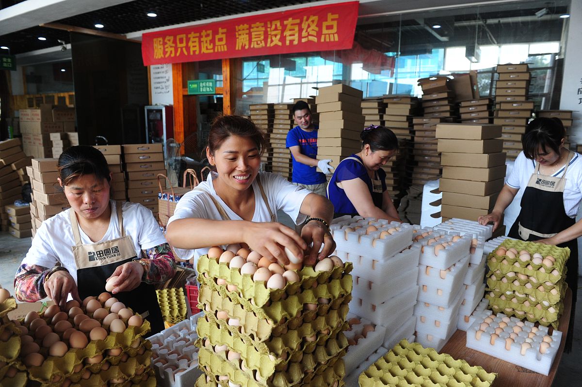 电子商务实习日记：50篇200字干货分享，揭秘电商运营实务