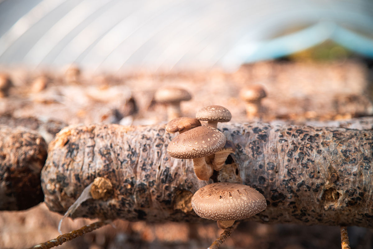 汉中适合初中毕业的中专学校好不好