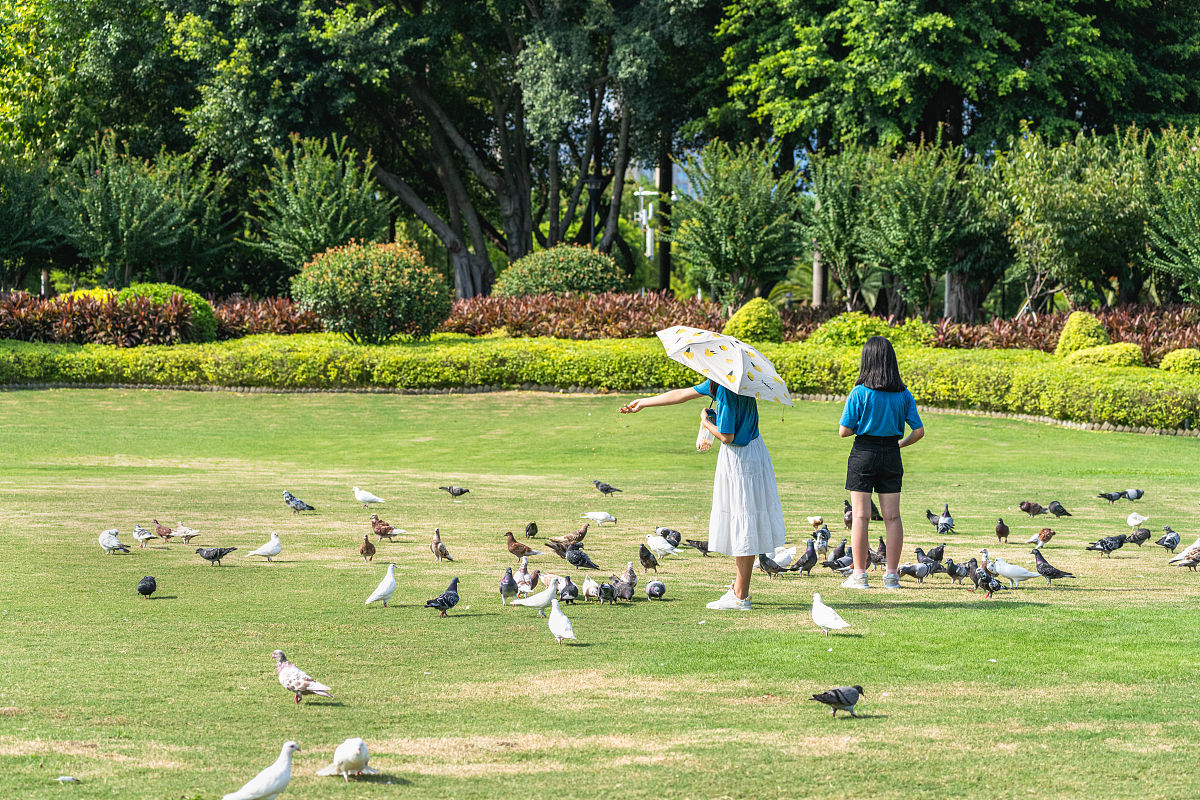 厦门求助方式汇总：政府热线、媒体平台一网打尽