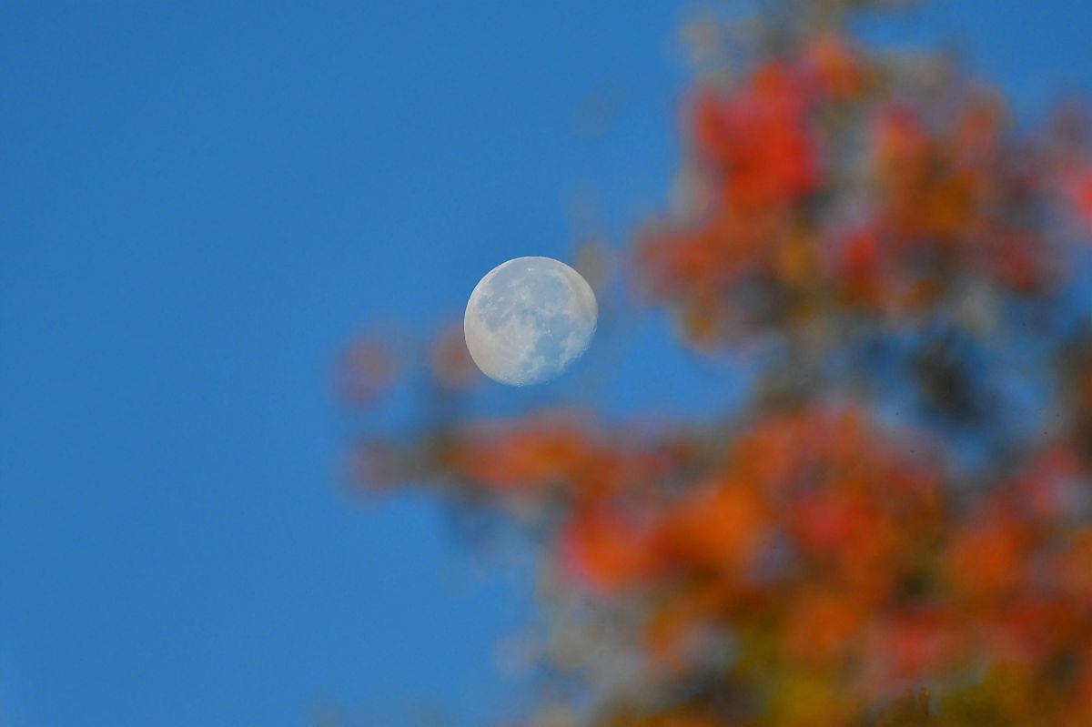 用夜晚白天写一首诗