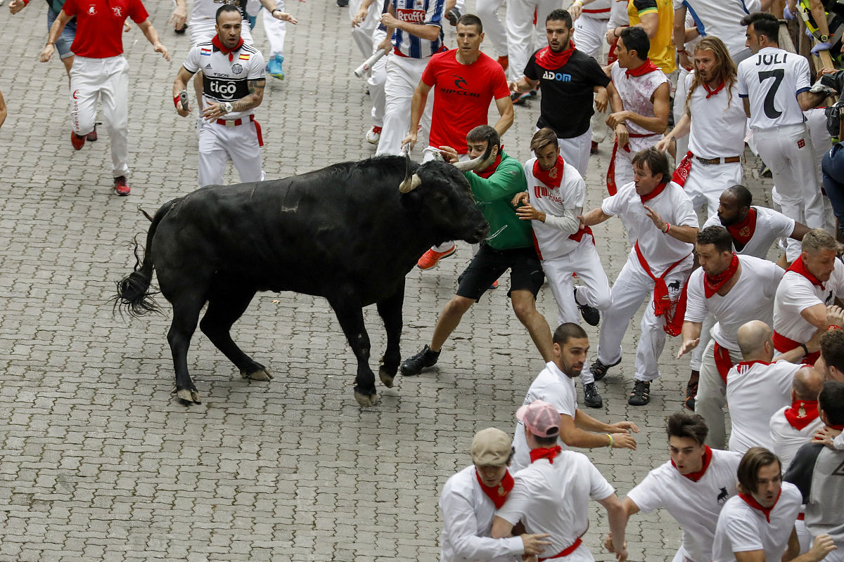 2023 年奔牛节：谁将率先启动？$BCB 有可能吗？