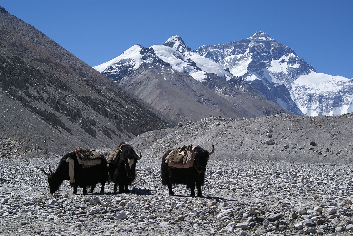 珠穆朗玛峰每年增长多少？最新研究揭示增长速度