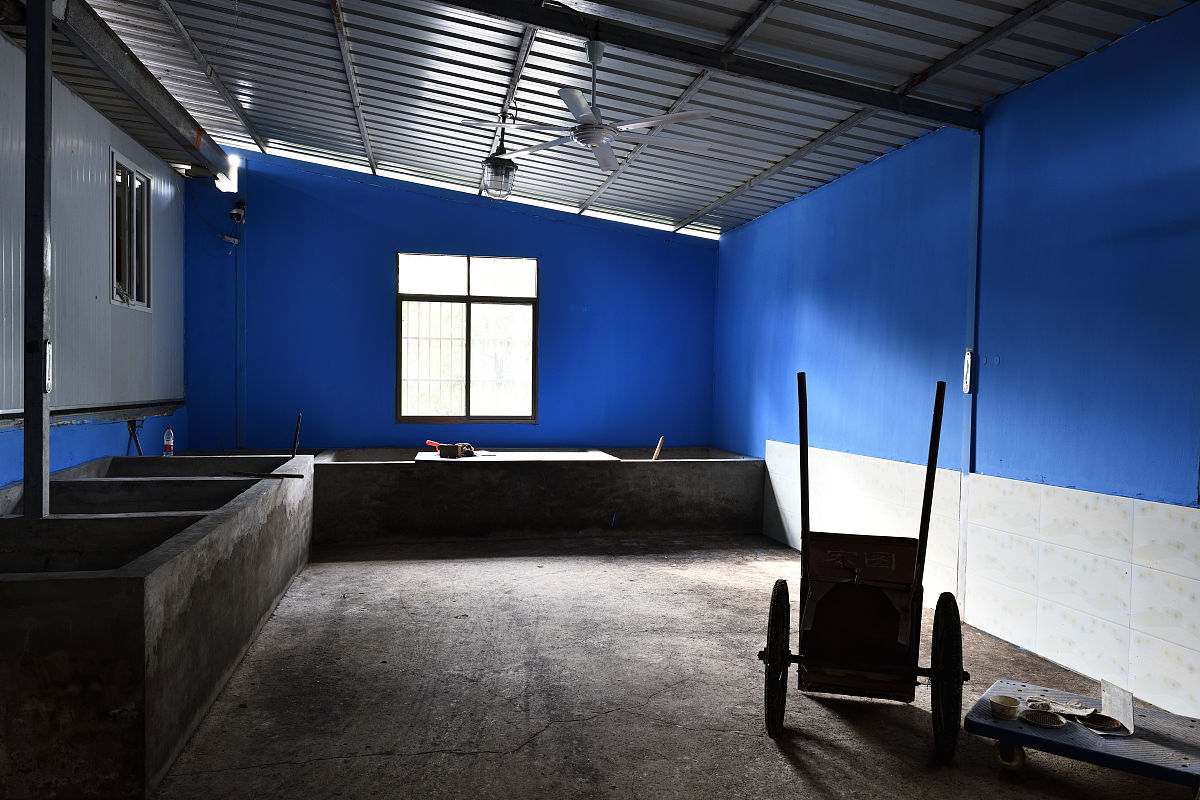 重庆中专学校读什么专业好？热门专业推荐及选择建议