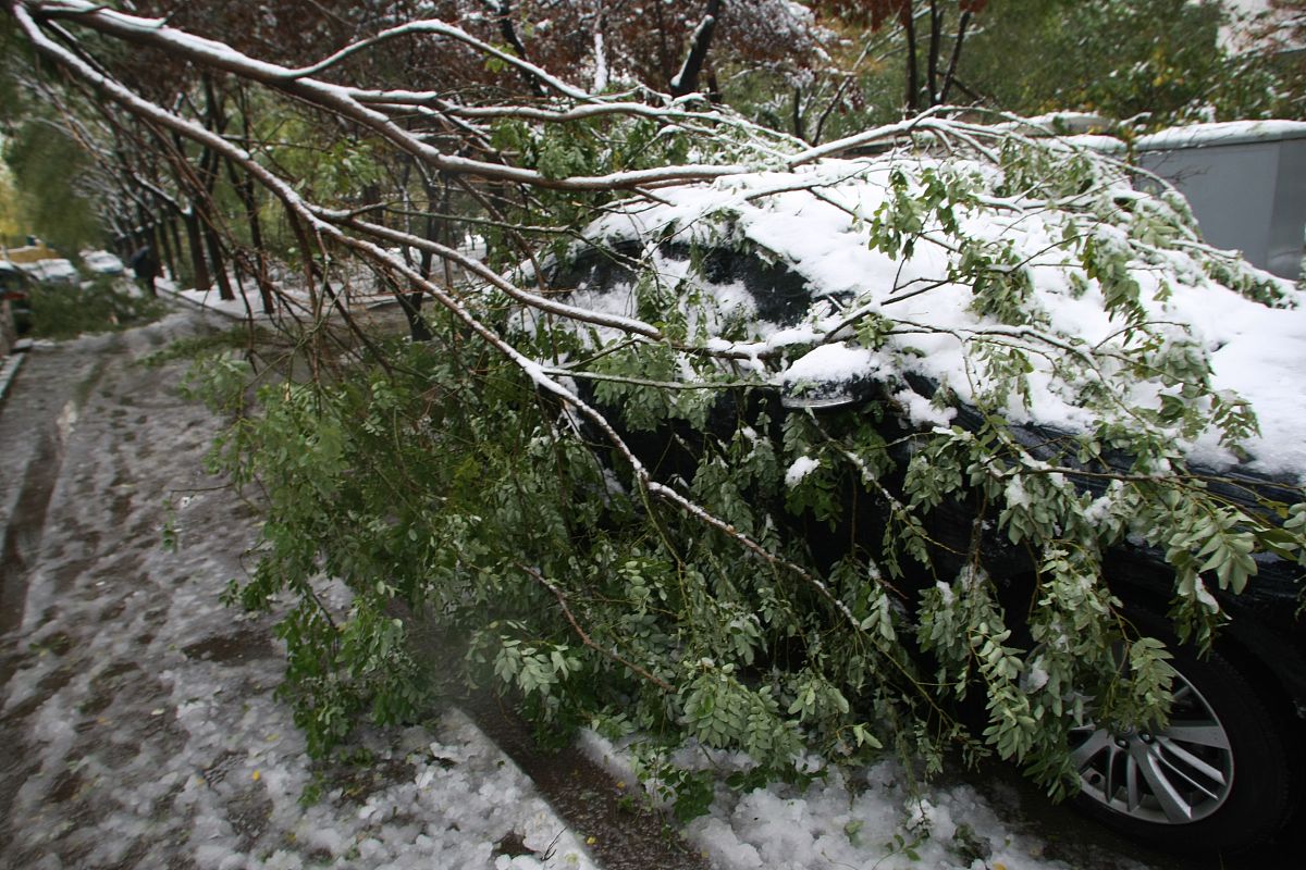 春寒的发生日期相对较晚翻译
