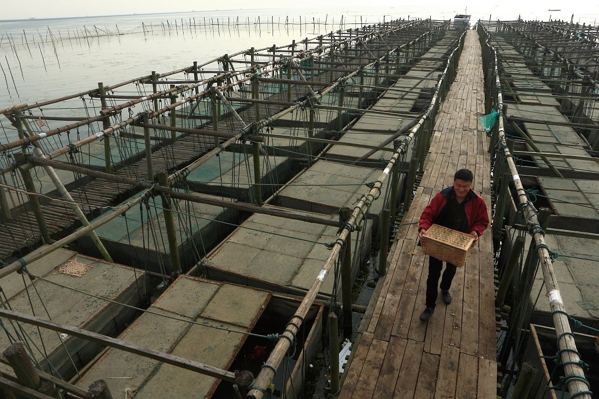 本次种蟹挂笼观摩会的成功举办进一步增强了养殖户对大