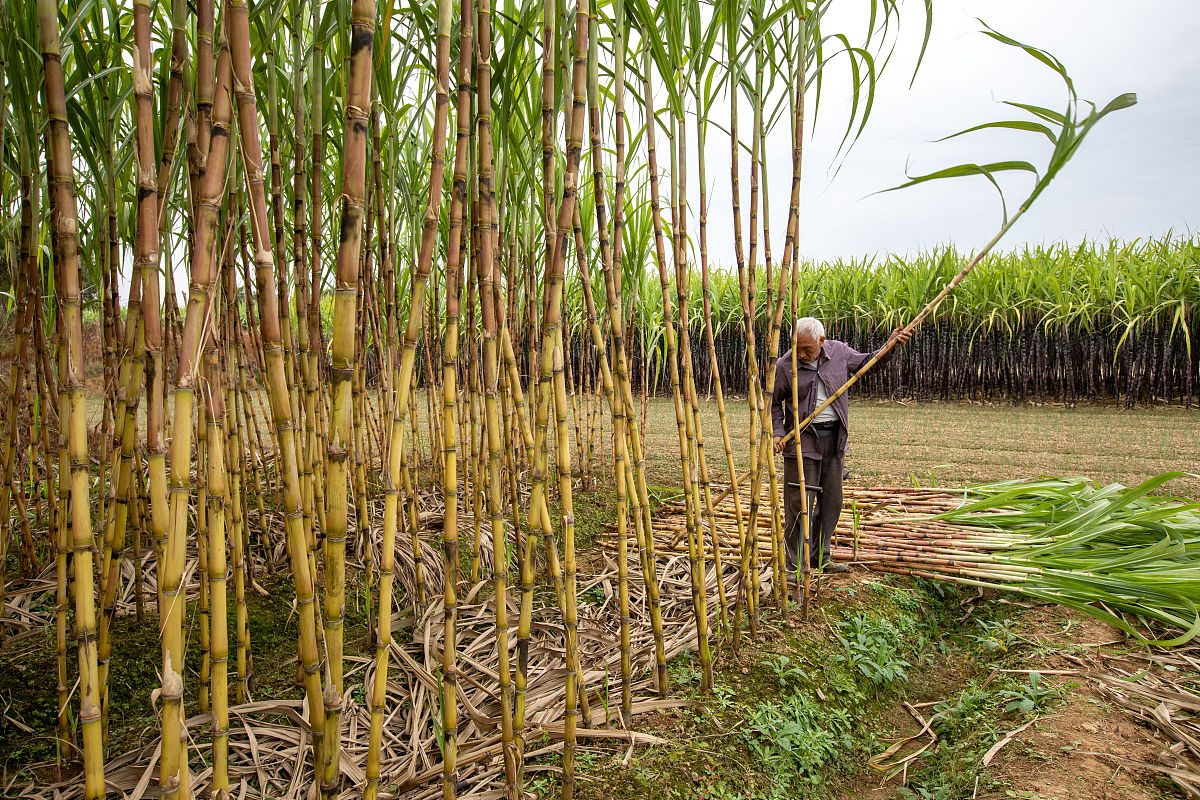 开心！有什么让你感到高兴的事呢？