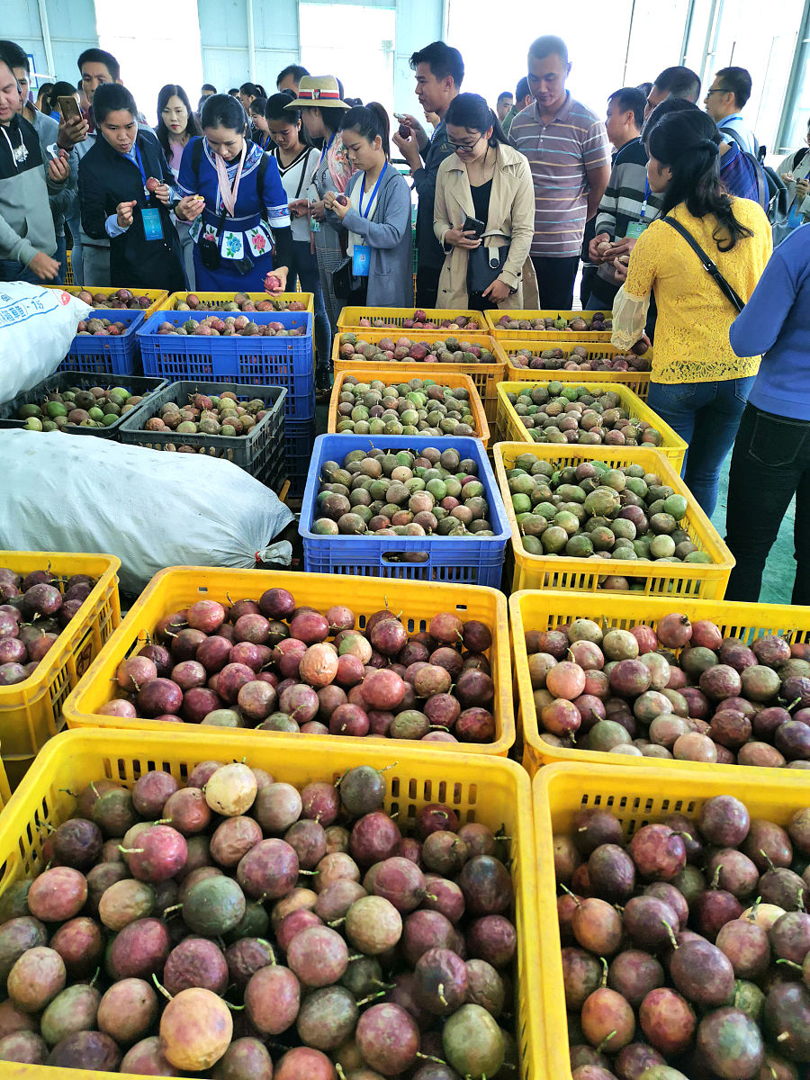 北流百香果销售攻略：满足市场需求的必备要素