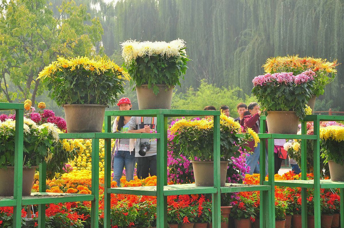 2020年湛江爱周职业技术学校招生简章 - 报名指南