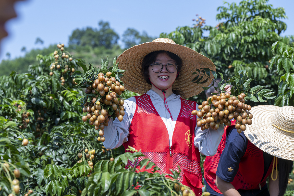 百色芒果田东芒果文化节旅游开发：完善品牌形象和市场营销体系