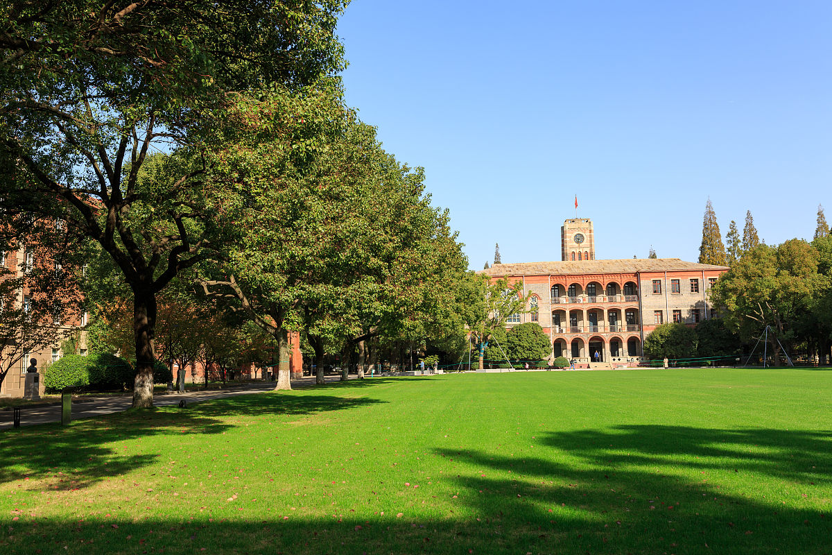 2019年11月14日,苏州,苏州大学校园内银杏进入最佳观赏季,成深秋绚烂