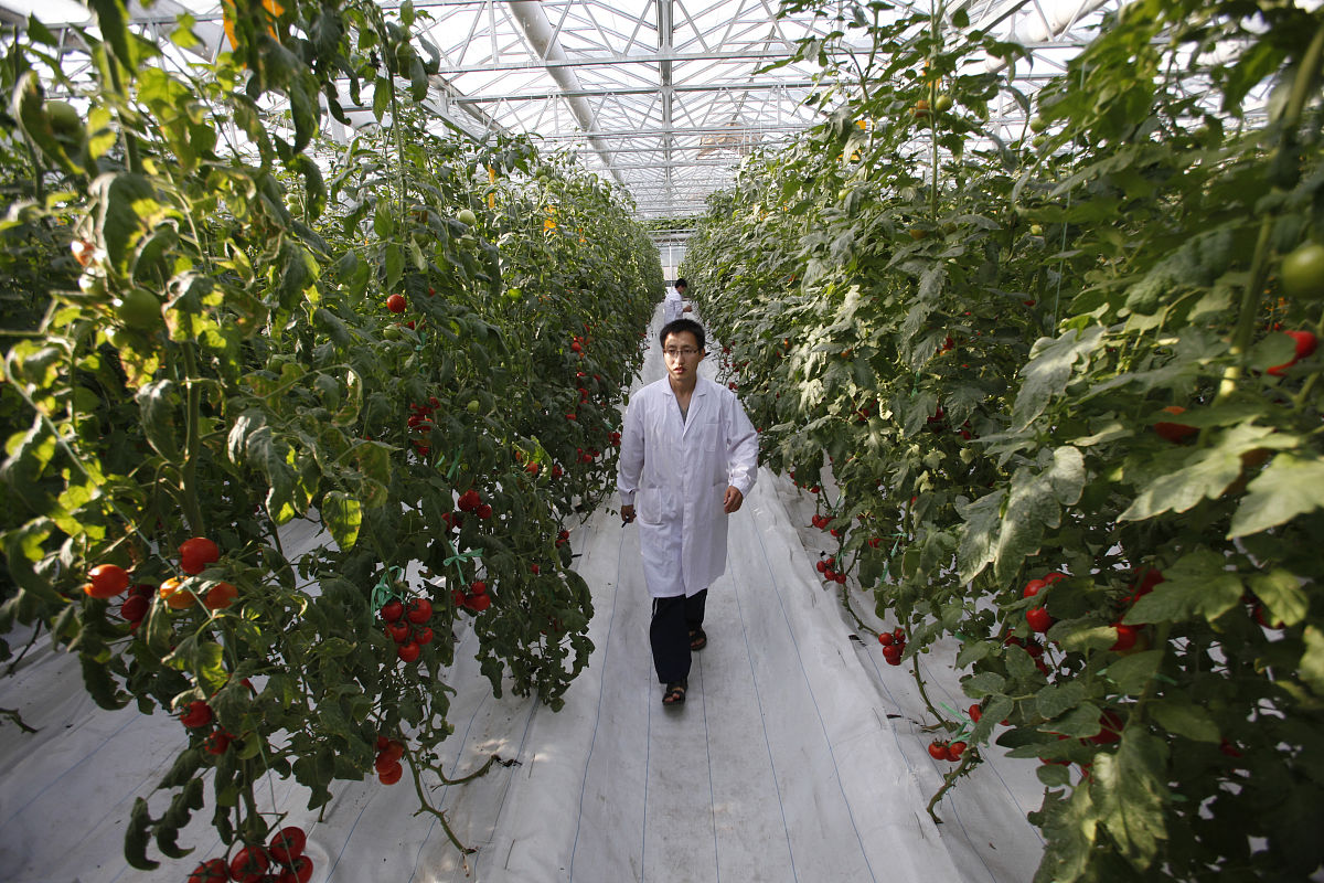 山东科技专修学院2021招生简章：培养高素质应用型人才