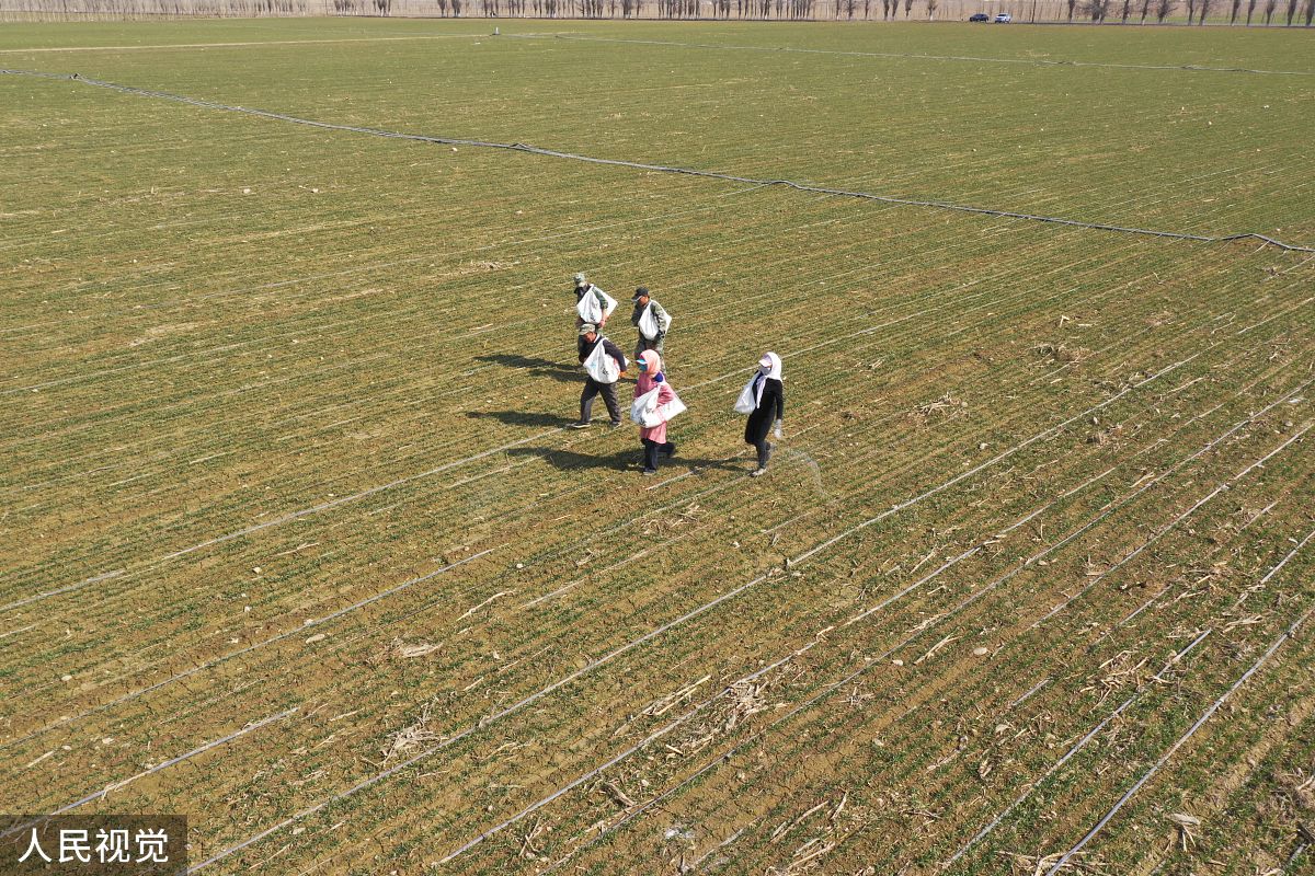 邯郸粮食中专学校2021年招生简章 - 【官网】