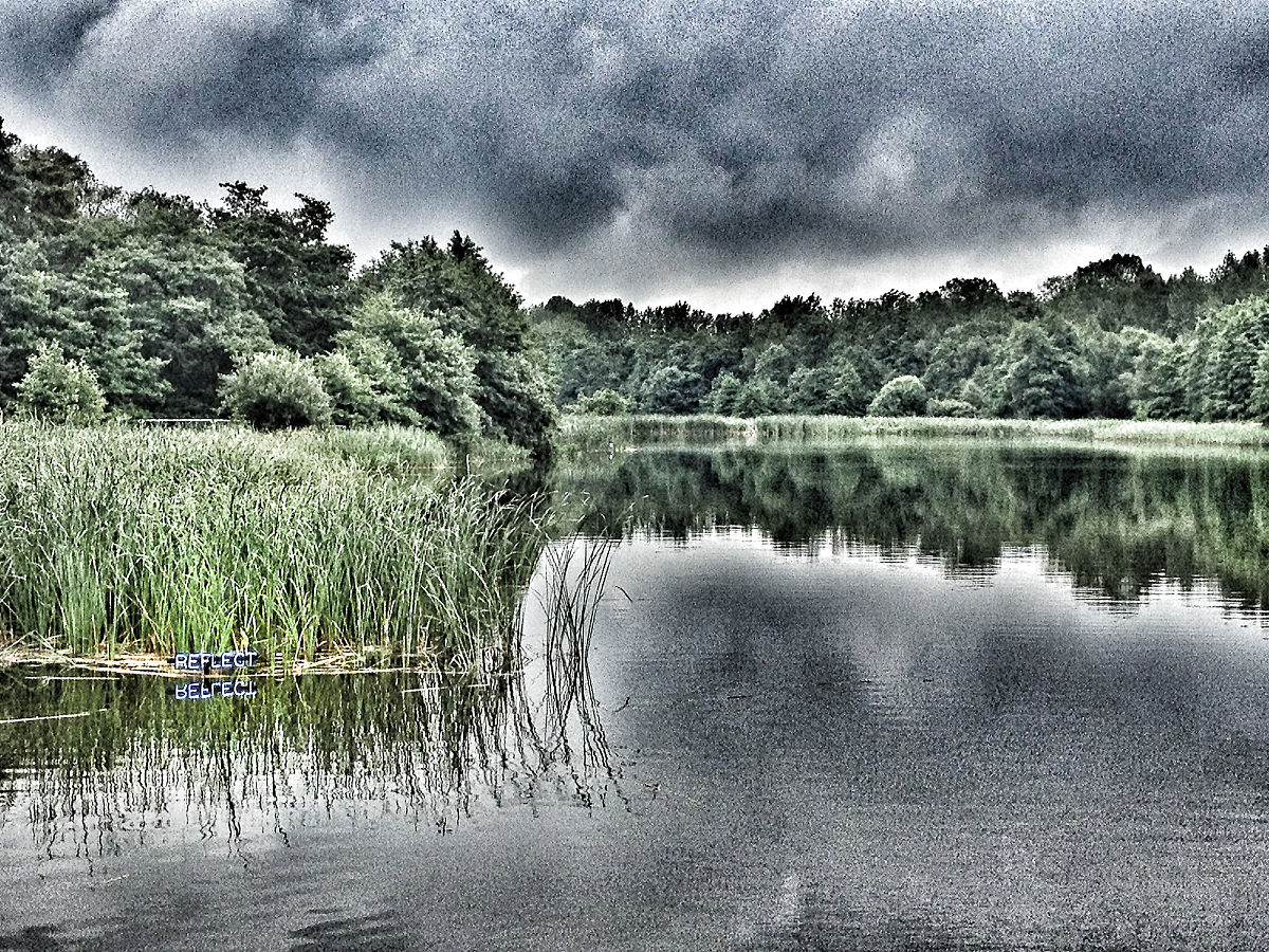 摄影学习指南：从入门到精通，你需要掌握的知识和技巧