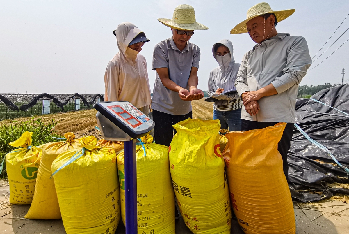 粮食工程与检测专业介绍学习哪些课程