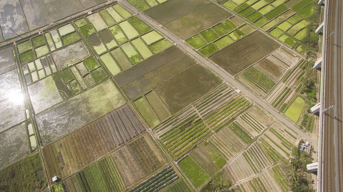 写一首关于海南的申论诗