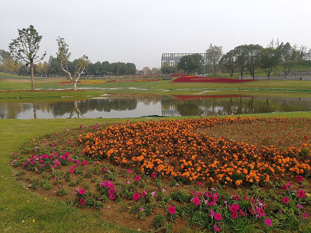 美丽校园：我爱我的学校