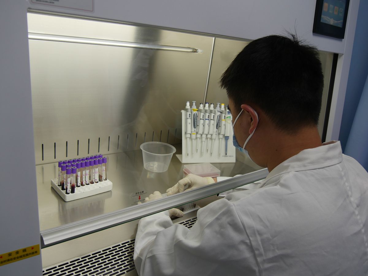 实验动物中心初创阶段管理办法及工作流程指南