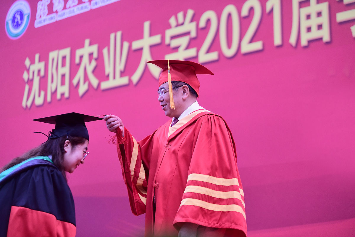 辽宁工程技术大学金融学专业怎么样？学习体验和就业前景分析