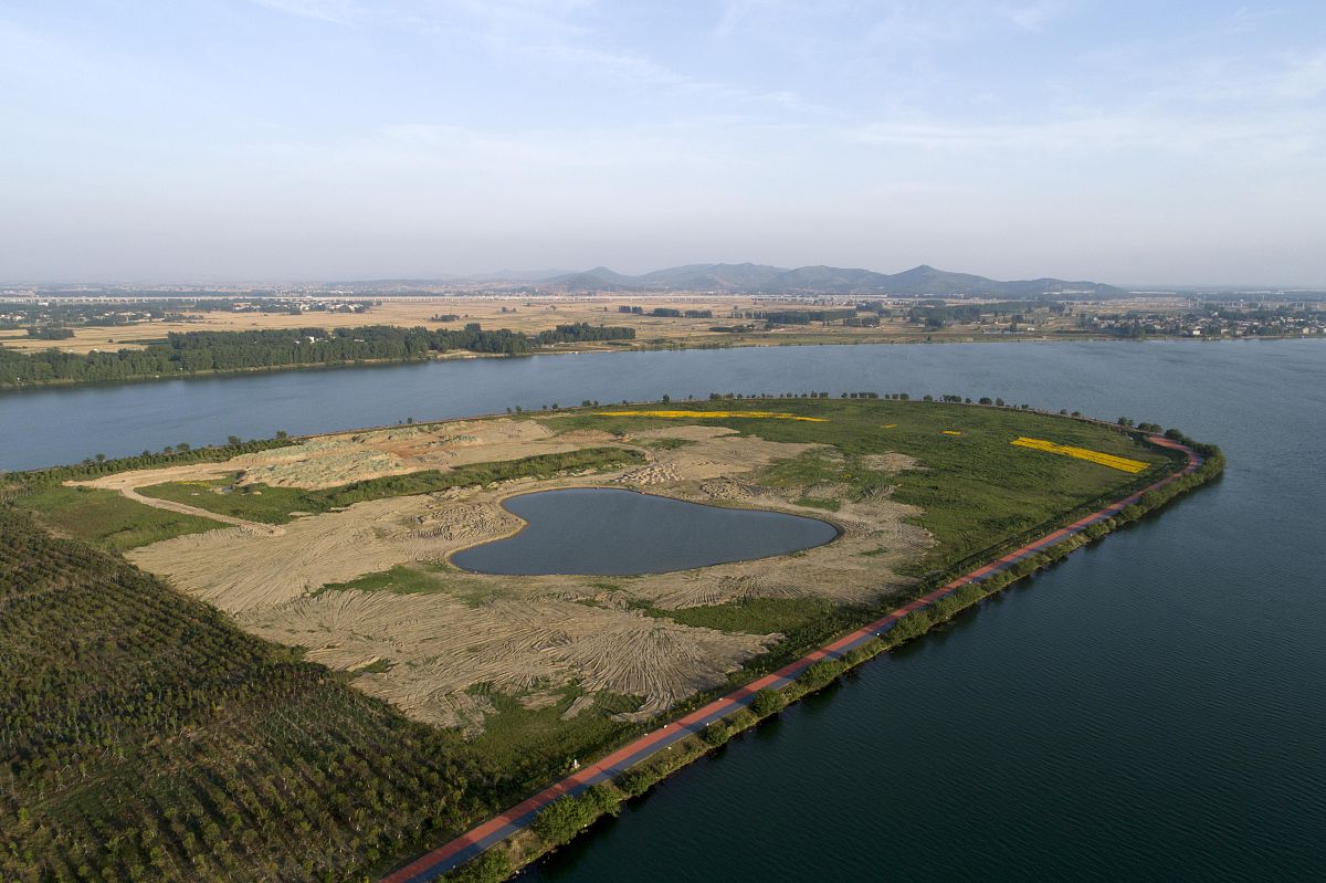 北大港水库扩容后绿化面积多少回答加拓展。