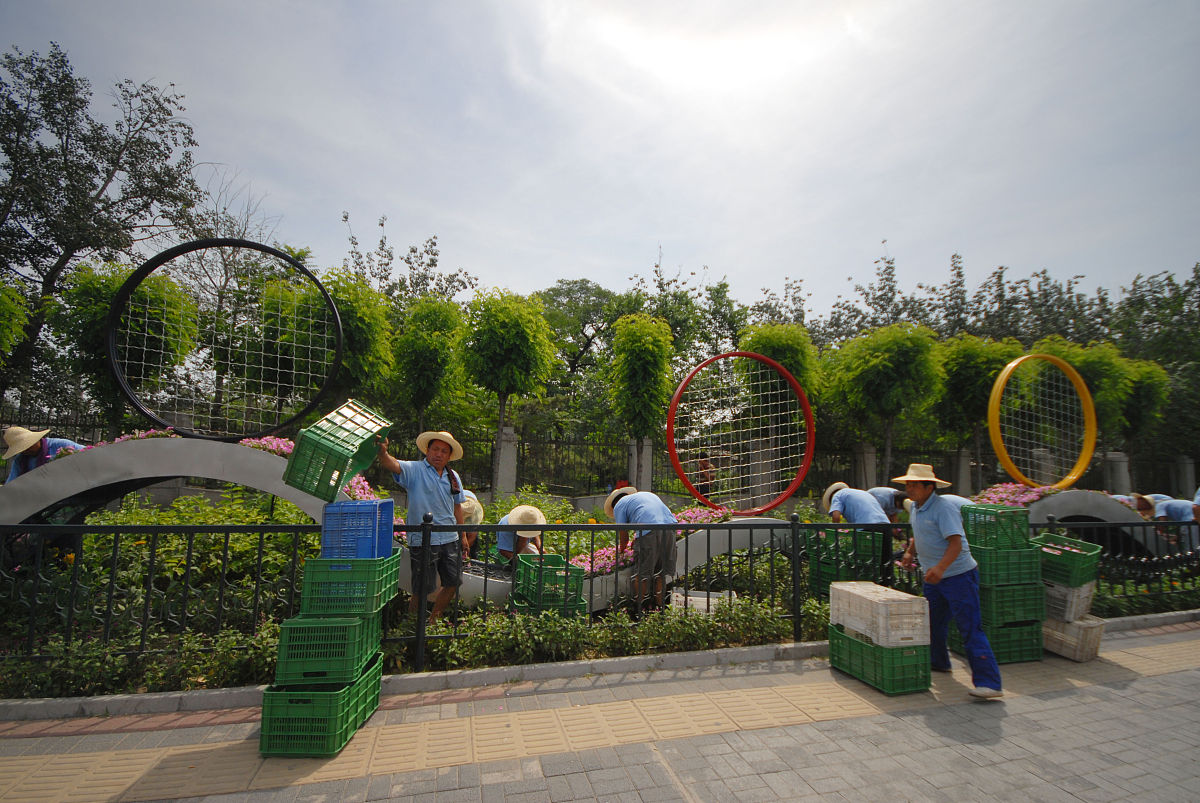 通过对水管处、分类中心、质监中心、绿建中心、动物园、植物园、园科院、绿化指导站、林业总站、环境学校等直属单位的现场座谈调研写一篇内容不少于一万字的推进上海市绿化市容系统政治监督具体化、精准化、常态化的调研报告