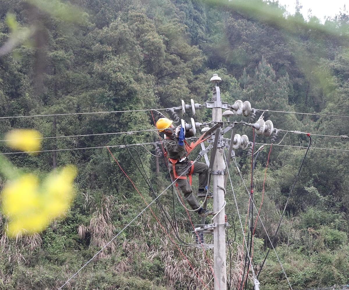要求从领导的视角写一篇关于2023年电力行业扫除树障减少线路故障的劳动竞赛颁奖词其中李渡获得市公司比赛二等奖温圳获得市公司三等奖梅庄获得县公司一等奖池溪获得县公司二等奖温圳获得县公司三等奖。