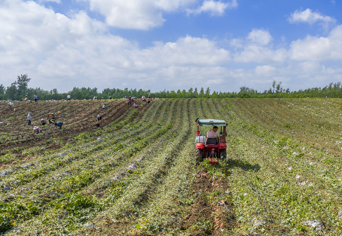 黑龙江农垦机械化学校中草药种植技术专业介绍-培养高素质人才，满足产业发展需求