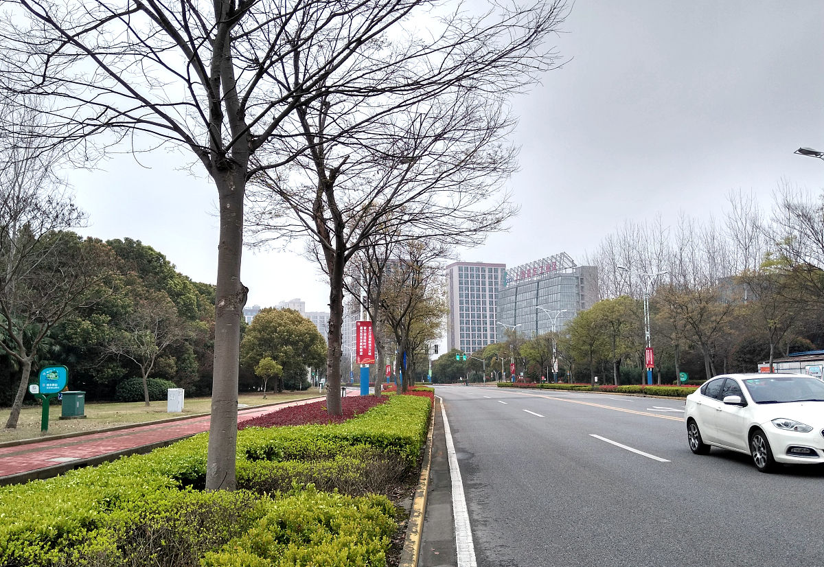 围绕文明城市创建我镇做了一系列工程
