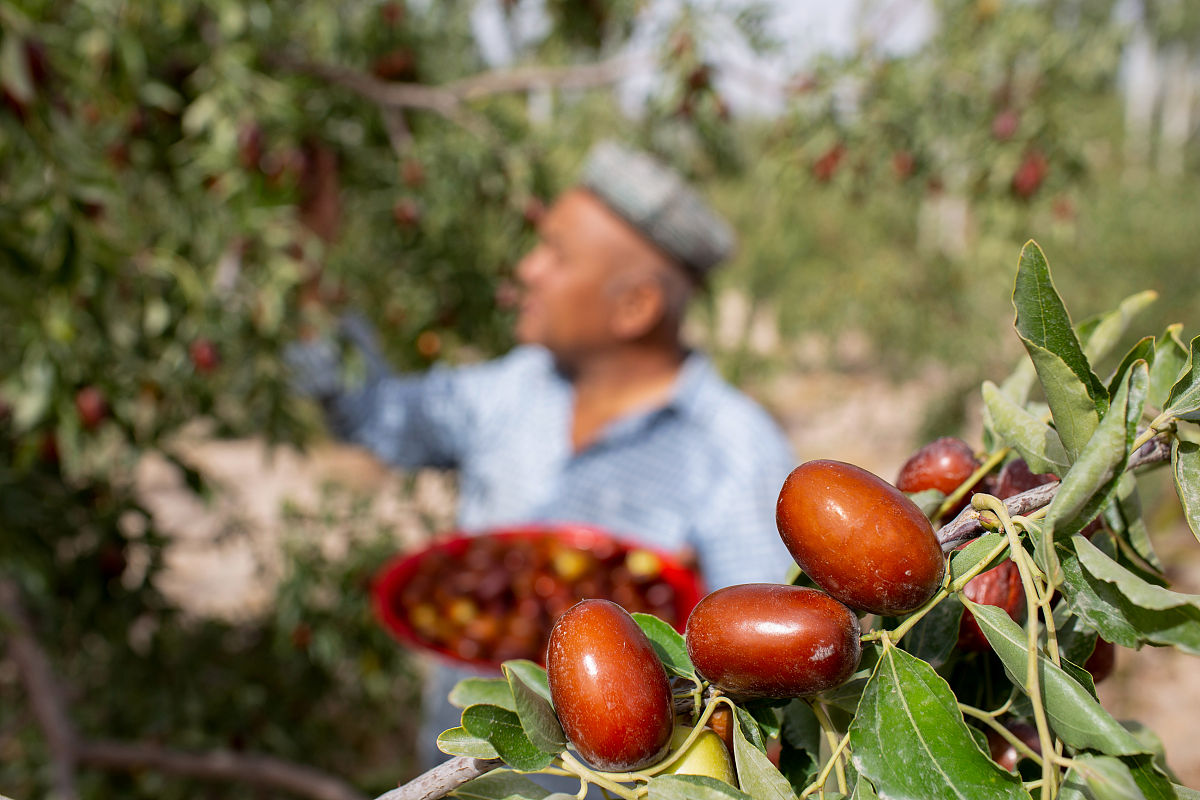库尔勒市帮我用180字详细描述