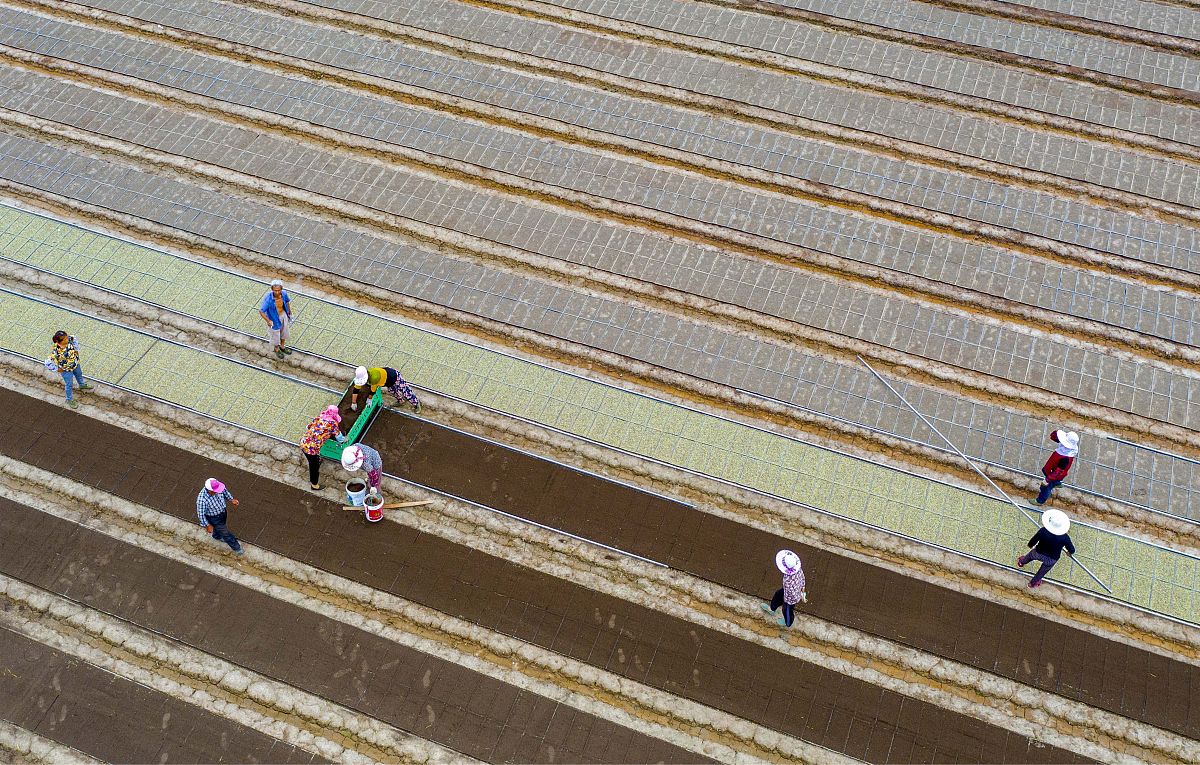 江苏兴化中等专业学校2022年招生人数及条件-兴化中专怎么样