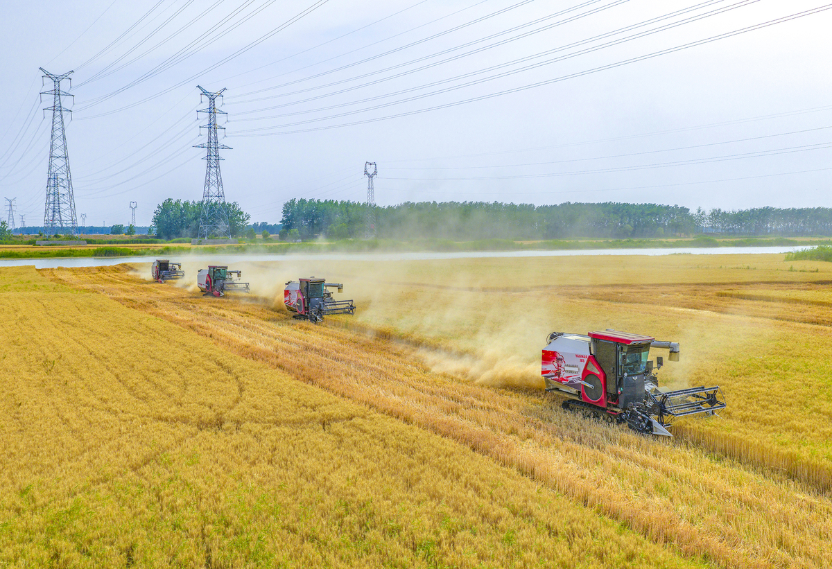 丰产增收：提高农作物产量和收入的有效措施