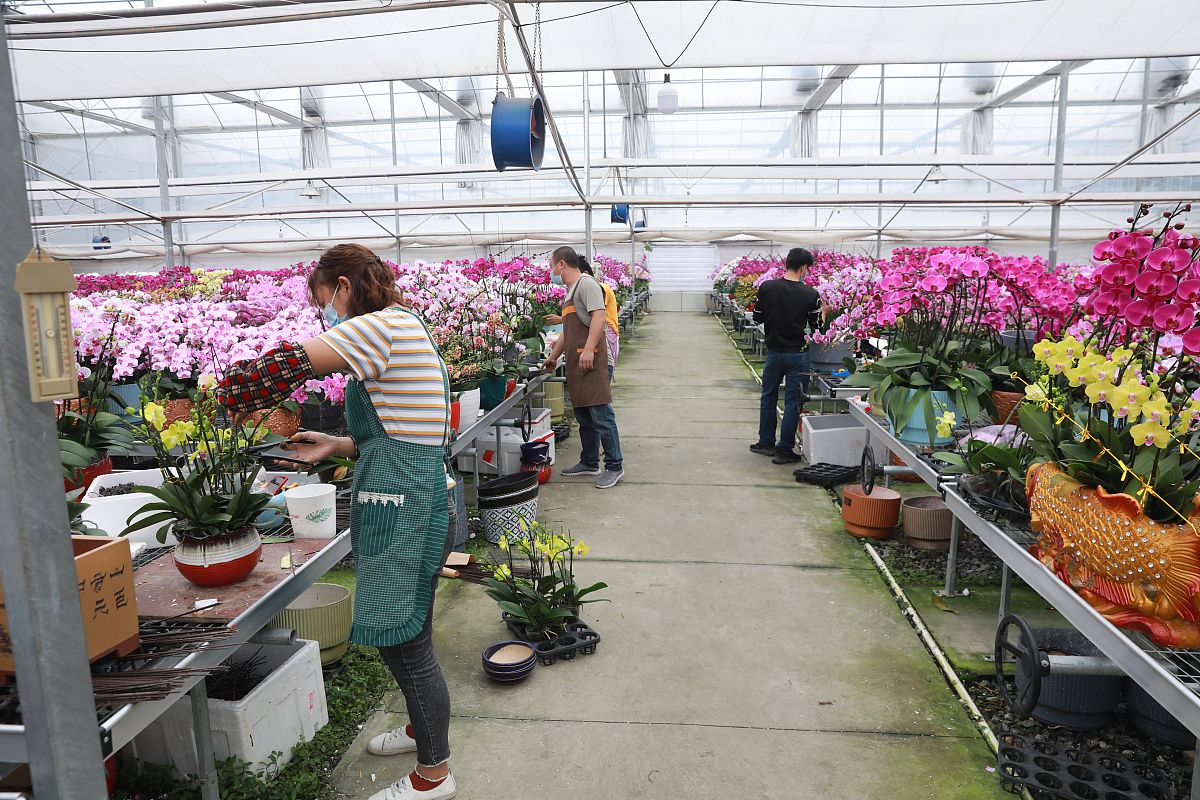 四川时代花木职业学校2022年招生简章 - 花卉产业人才培养基地