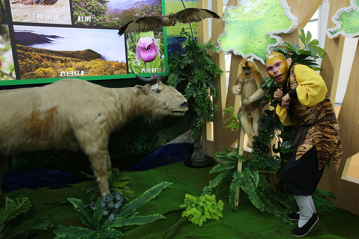 陕西科技技师学院室内设计专业就业前景：未来发展趋势及就业方向