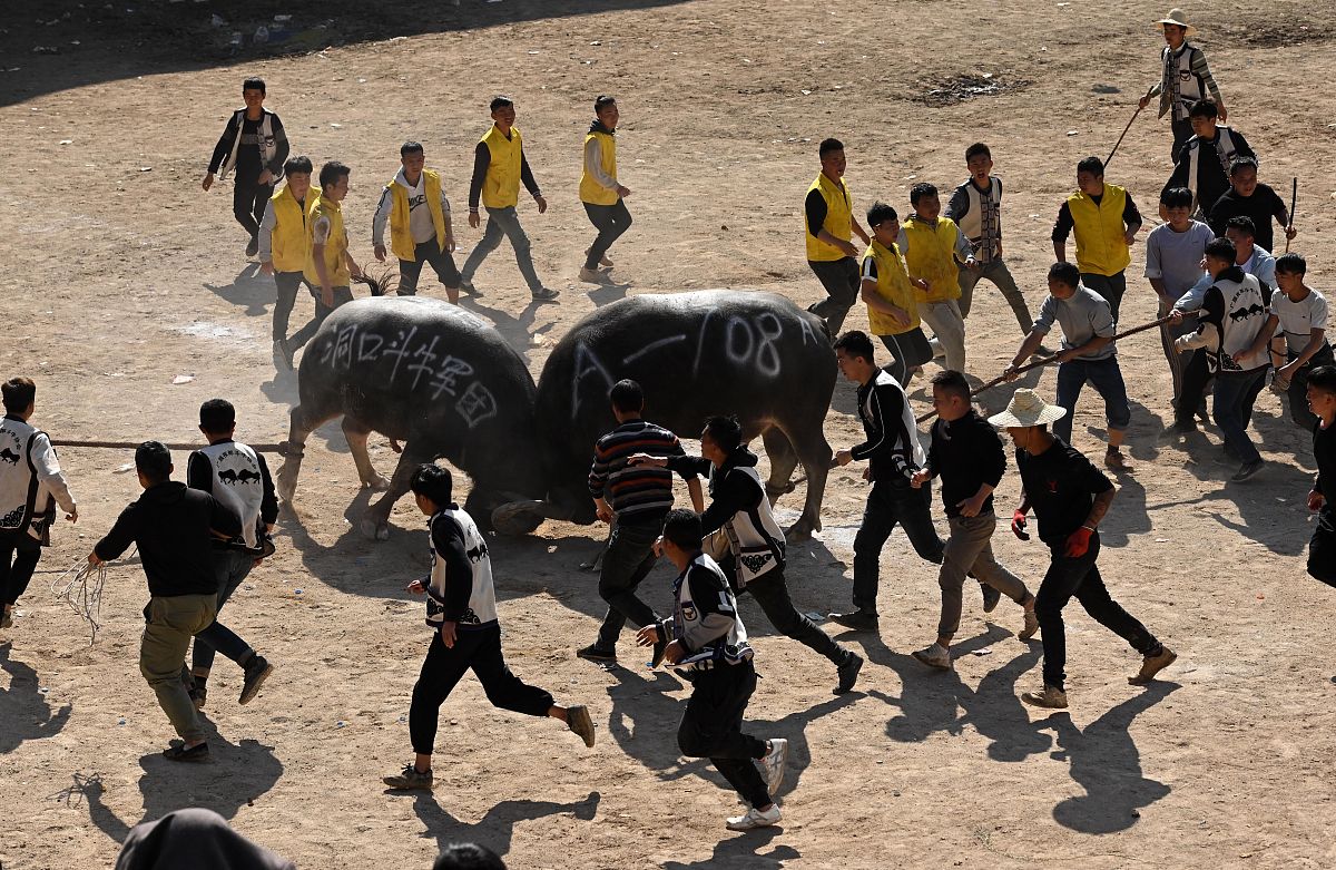 势均力敌：实力相当，难分胜负！