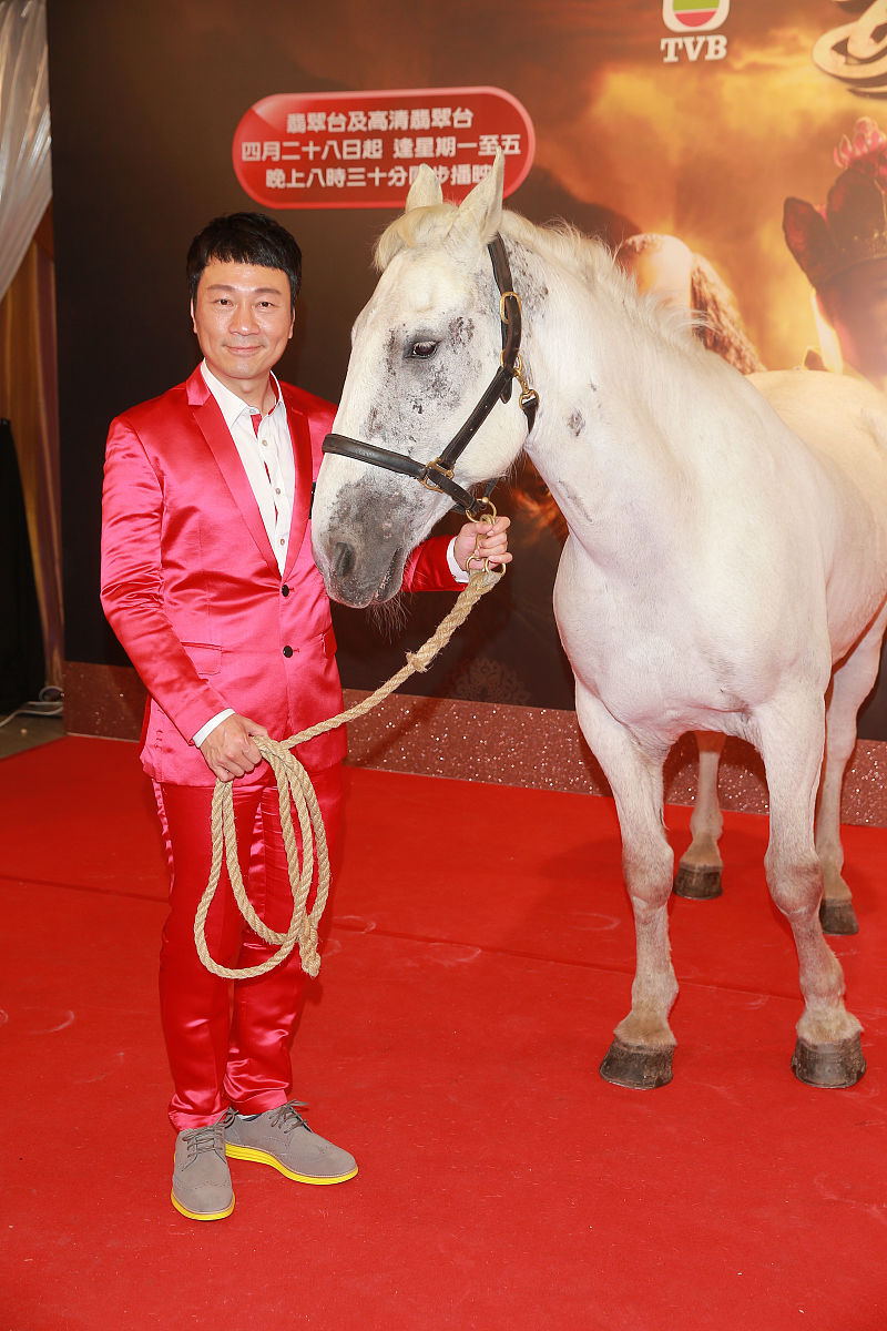 梦幻西游宠物游戏名