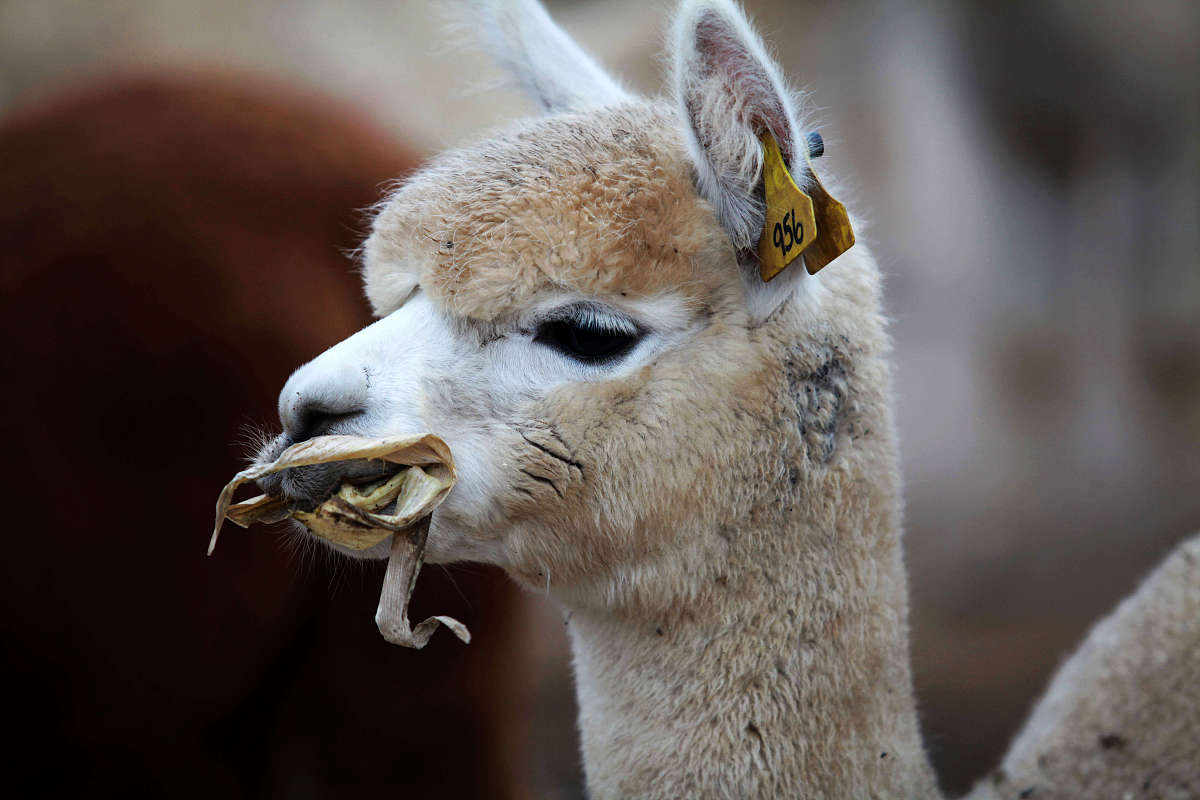 武威卫生学校2022年招生简章