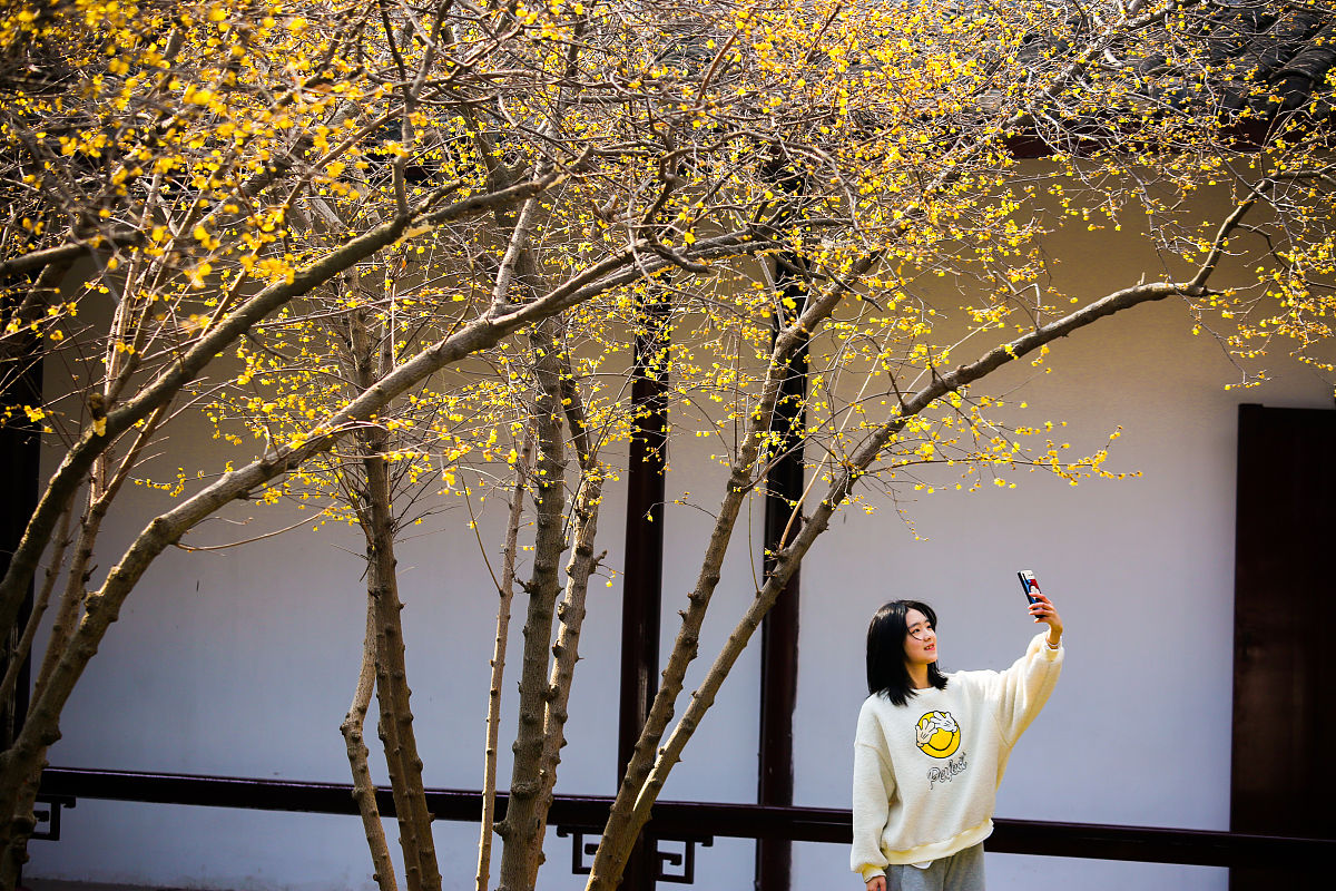 2018年阳泉师范高等专科学校排名