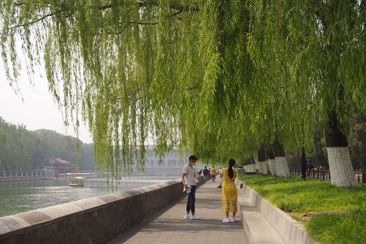 500字日记暑假记叙文写和朋友一起骑车初中生