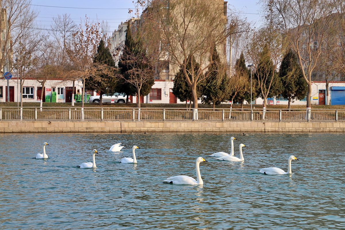 2020年中国最高气温记录：新疆库尔勒市48.4℃